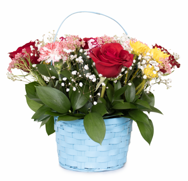 Spring 1 - Image 2
