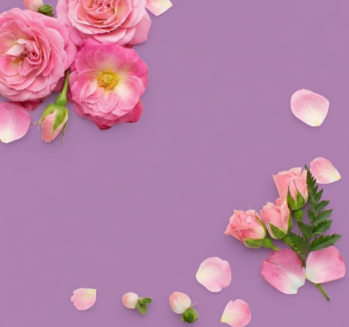 Image Slider